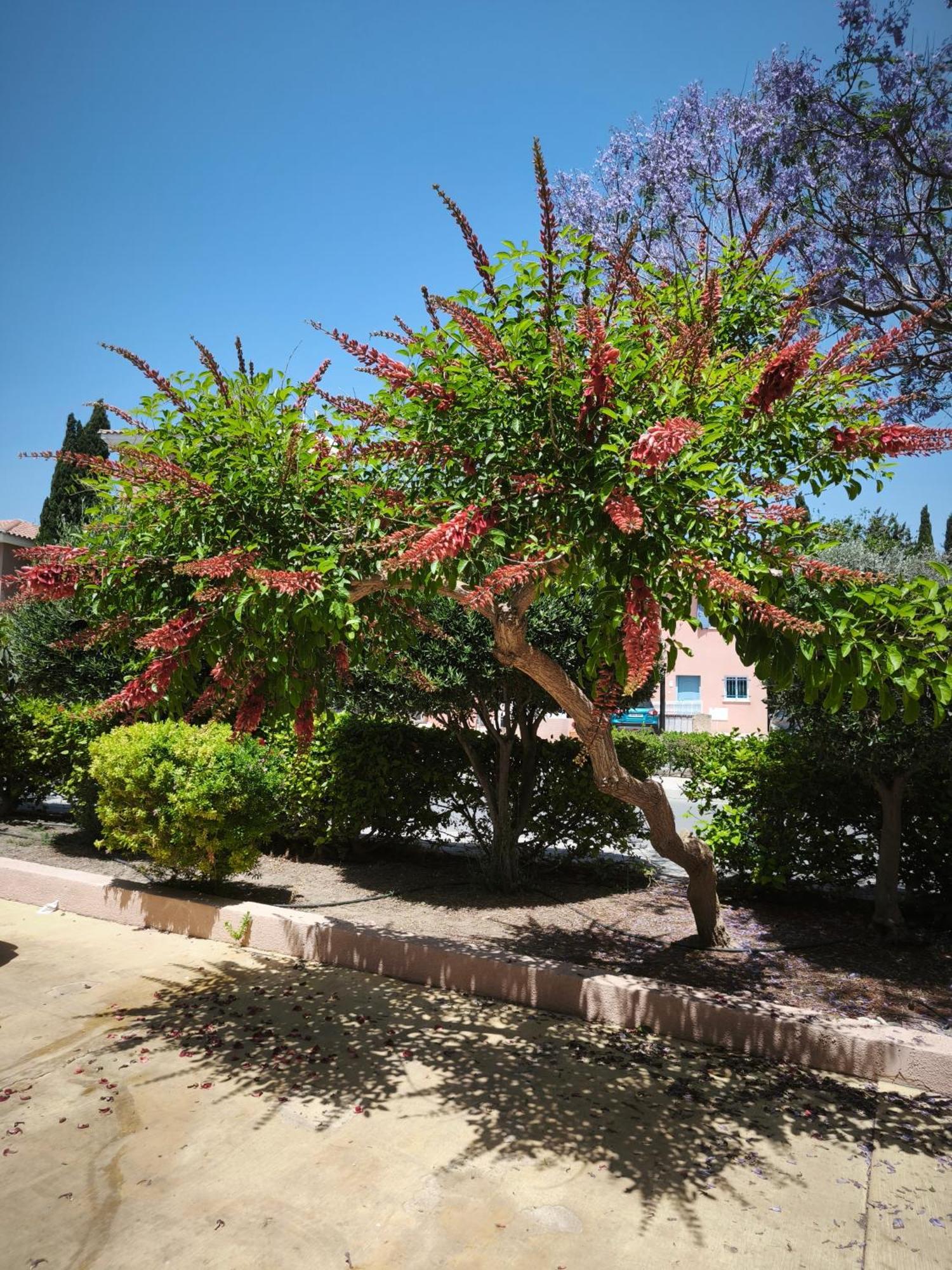 Eden Gardens Villa Paphos Exteriör bild